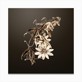 Gold Botanical Mrs. Marryat's Tacsonia Flower on Chocolate Brown n.0335 Canvas Print
