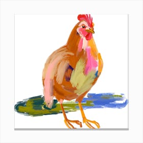 Chicken 07 Canvas Print