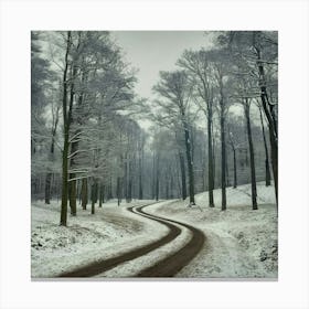Snowy Road In The Forest Canvas Print