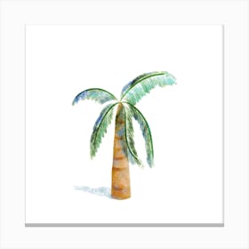 Coconut Tree Plant Illustration Square Canvas Print
