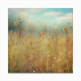 Field Of Flowers Canvas Print