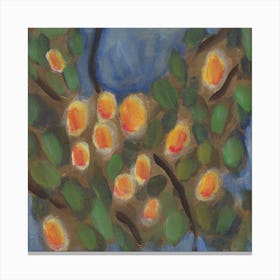 Apricot Day Canvas Print