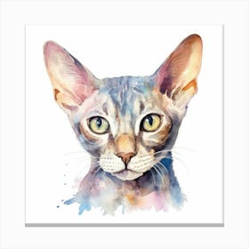 German Rex Cat Portrait 1 Canvas Print