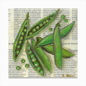 Peas Vegetables On Newspaper Green Kitchen Rustic Farmhouse Wall Decor Canvas Print