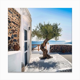Olive Tree, Seconds Before Sitting Down On The Invisible Bench (I) Canvas Print