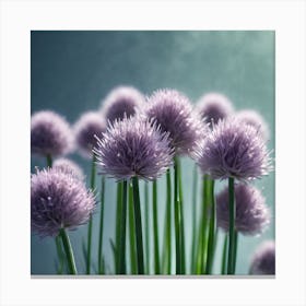 Chives 6 Canvas Print