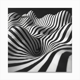 Abstract Zebra Stripes 3 Canvas Print