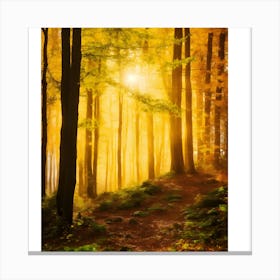 Autumn Forest 1 Canvas Print