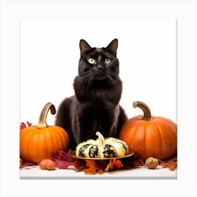 Black Cat With Pumpkins Canvas Print