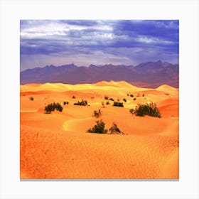 Sahara Desert Canvas Print