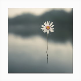 Single Daisy Canvas Print