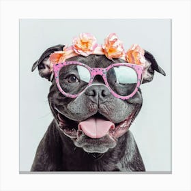 Portrait Of A Dog Wearing Sunglasses Canvas Print