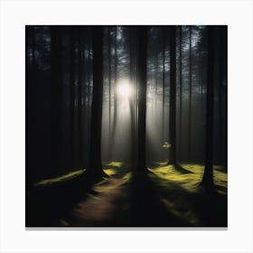 Light In The Forest Canvas Print