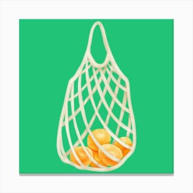 Oranges In A Bag Canvas Print