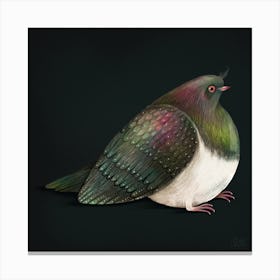 Bird kereru Canvas Print