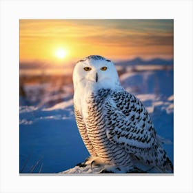 Firefly Majestic Snowy Owl In Serene Winter Sunrise 91176 (2) Canvas Print