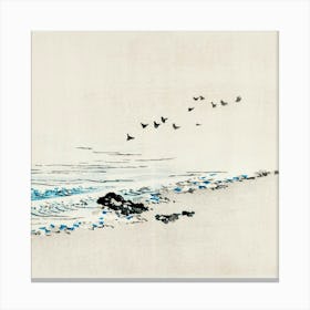 Birds On The Beach Canvas Print