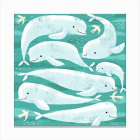 Beluga Whales Square Canvas Print