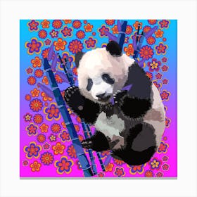 Panda Square Canvas Print