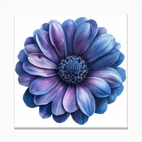 Blue Daisy Canvas Print