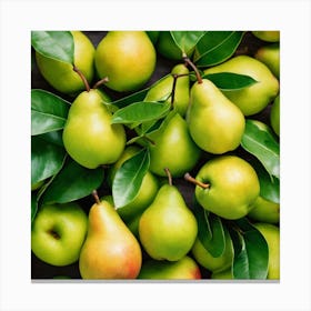 Green Pears With Leaves Canvas Print