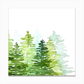 Watercolor Pine Trees Canvas Print