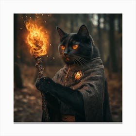 Cat With A Torch Canvas Print