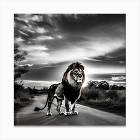Lion Walking On The Road Canvas Print