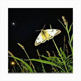 Moth At Night Canvas Print