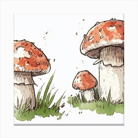 Mushroom Illustration Canvas Print