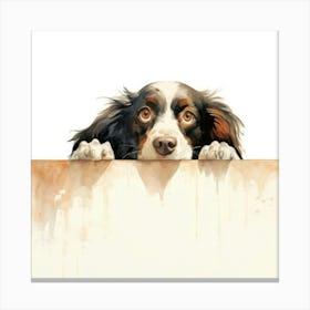 Spaniel Clumber 2 Canvas Print