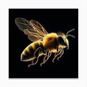 Bee with black background Canvas Print