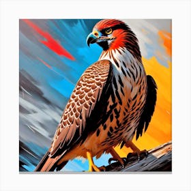 Hawks 15 Canvas Print