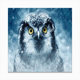 Owl In The Snow Canvas Print
