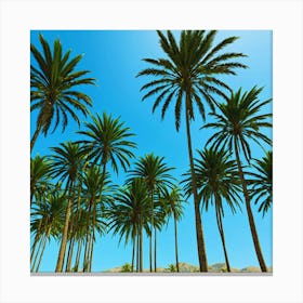 Palm Trees 2 Canvas Print