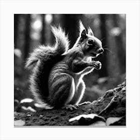 Squirrel In Forest Black And White Still Digital Art Perfect Composition Beautiful Detailed Intr (3) Canvas Print