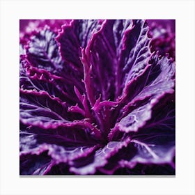 Purple Cabbage Canvas Print