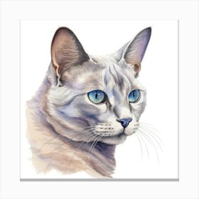 Bali Cat Portrait 1 Canvas Print