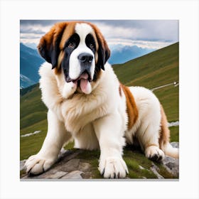 St Bernard Dog 39 Canvas Print