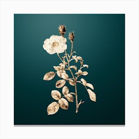 Gold Botanical Sparkling Rose on Dark Teal n.3025 Canvas Print