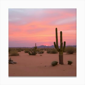 Sunset In The Desert With Calm and Peaceful Mind Canvas Print