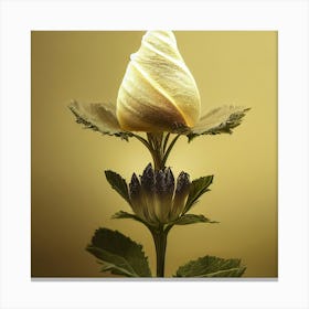 White Rose Canvas Print