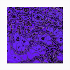 Purple And Black Abstract Painting Canvas Print