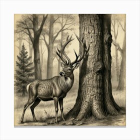 Deer In The Woods 18 Canvas Print