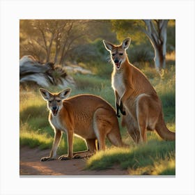 Kangaroos Canvas Print