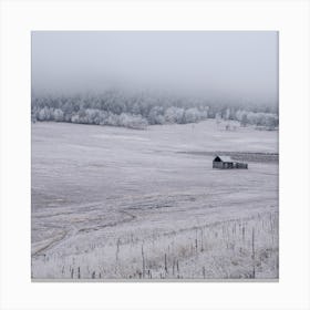 Winters Edge Canvas Print