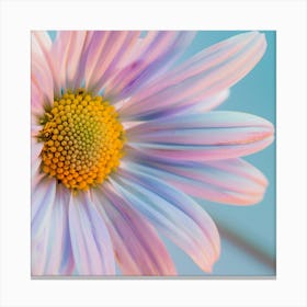 Detail Pastel Colour Chamomile Flower Canvas Print