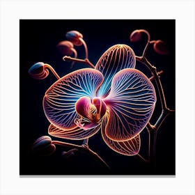 Orchid Flower 2 Canvas Print