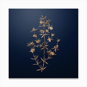 Gold Botanical Heath Mirbelia Branch on Midnight Navy n.0347 Canvas Print