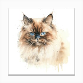 Chocolate Point Himalayan Cat Portrait 3 Canvas Print
